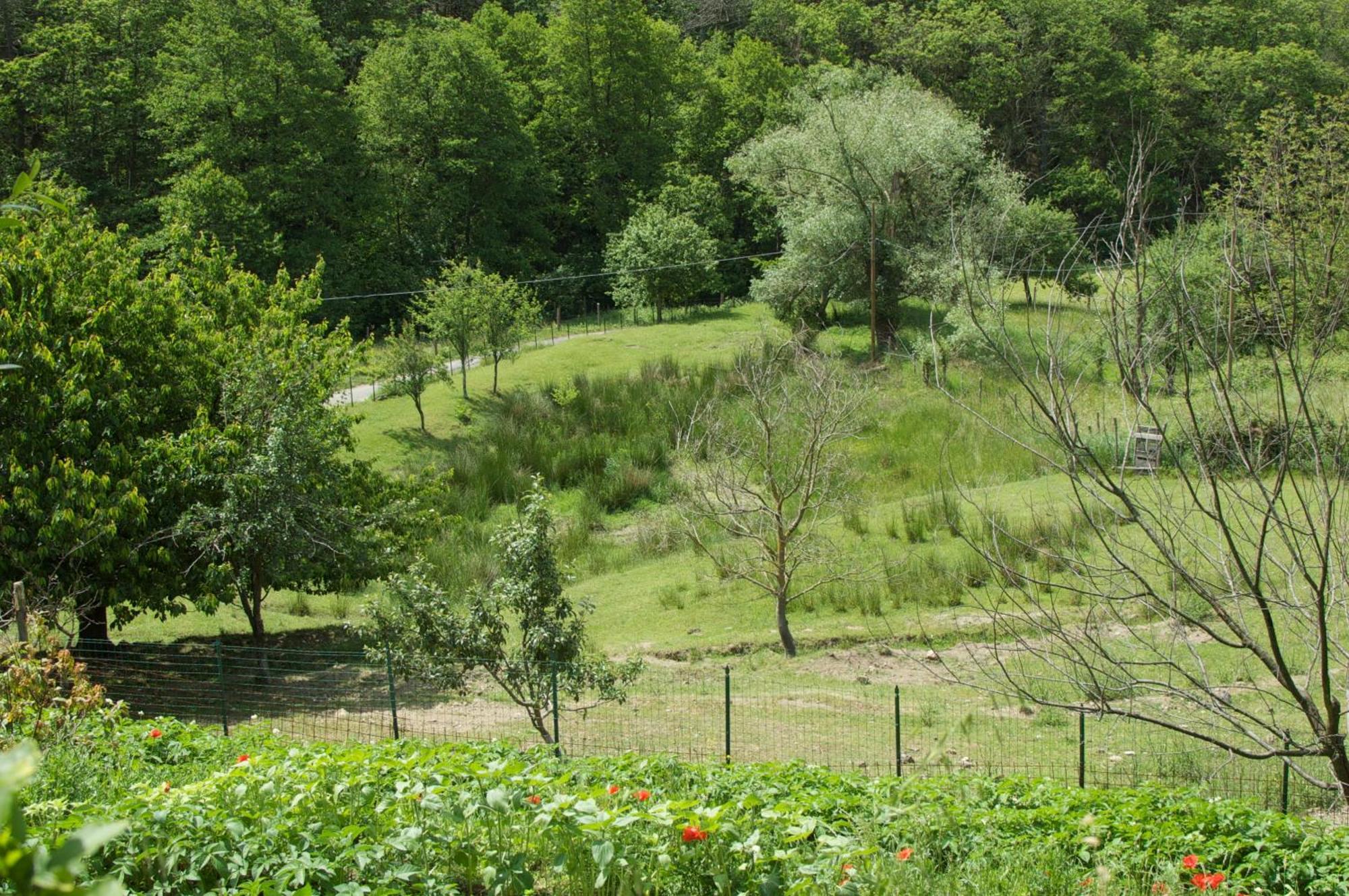 Affittacamere Graziella เวอนาซซา ภายนอก รูปภาพ