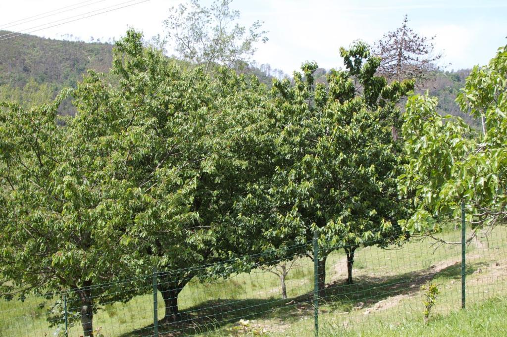 Affittacamere Graziella เวอนาซซา ภายนอก รูปภาพ